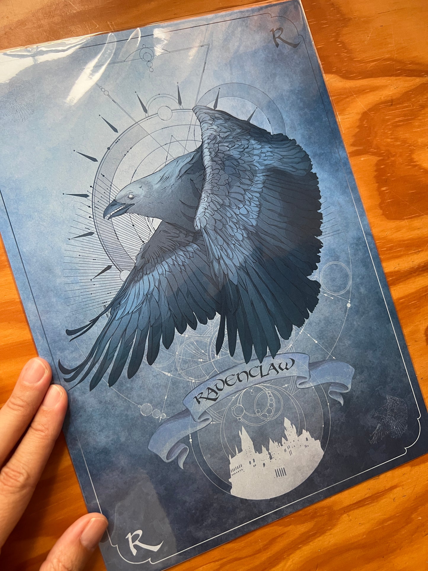Pack Harry Potter: Las Cuatro Casas de Hogwarts