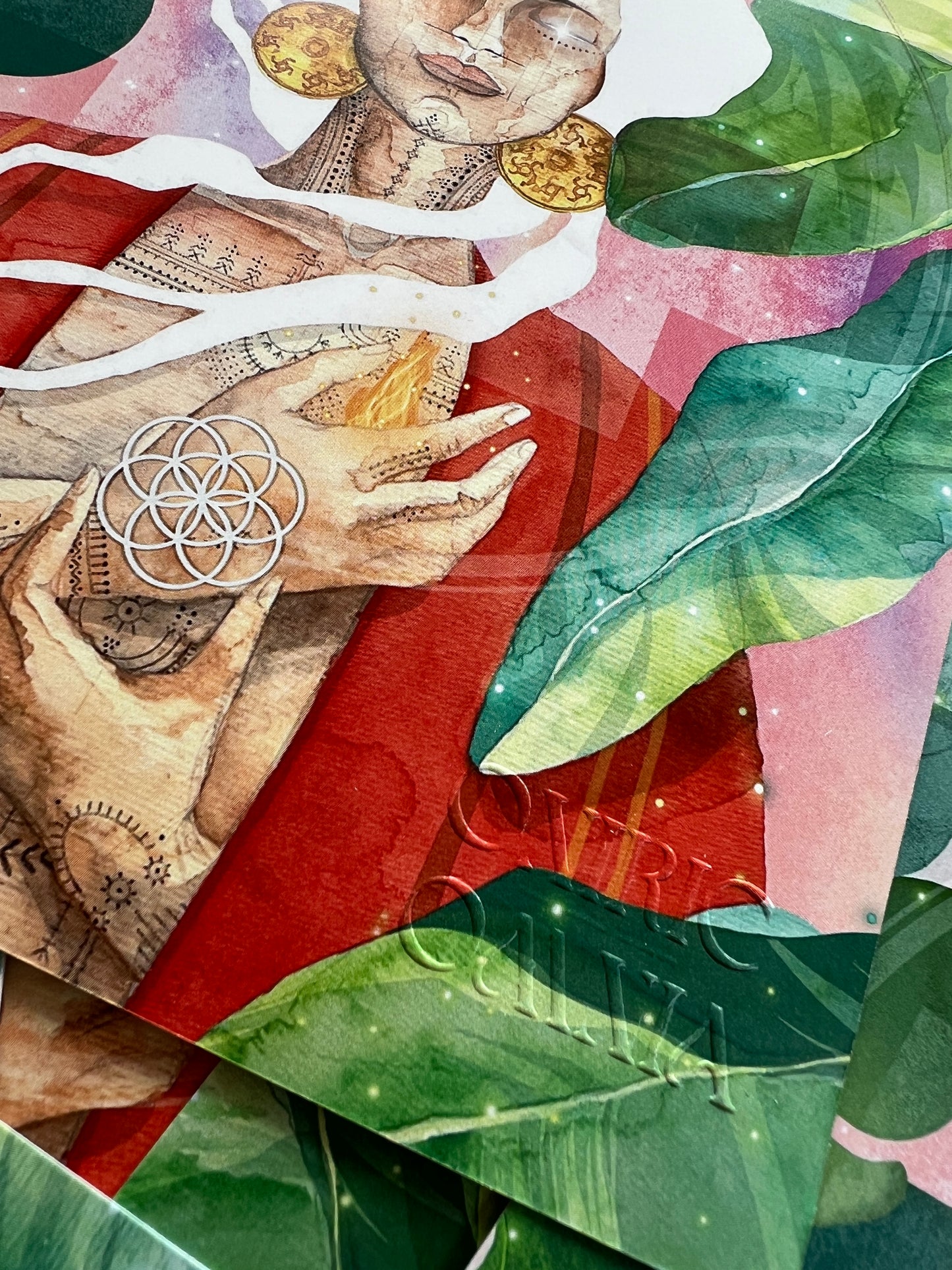 SEMILLA DE FUEGO, el Año de la Siembra