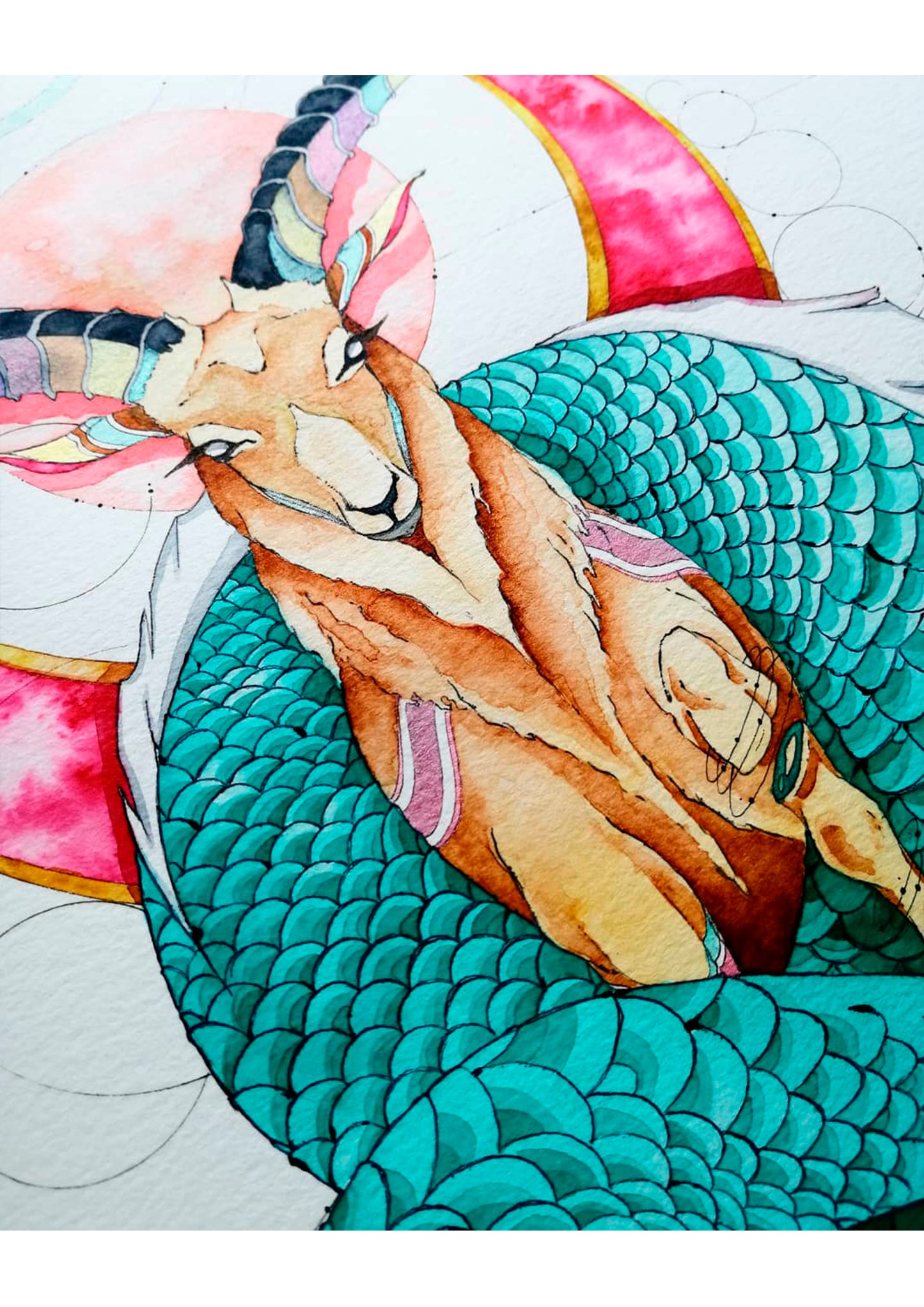 STEINBOCK – Sternzeichen Kunst in Aquarell und Tinte